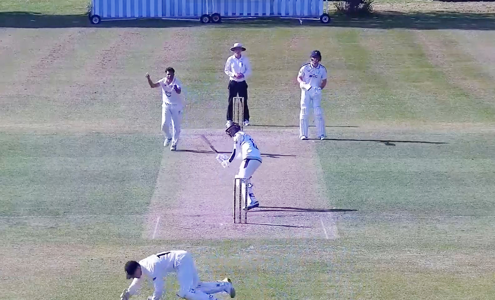 Cricket match: a batsman is out, the bowler celebrates.